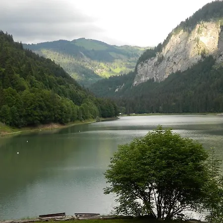 Hotel Logis Les Sapins Montriond