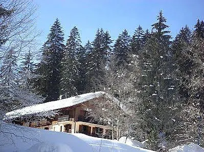 Hotel Logis Les Sapins 2*